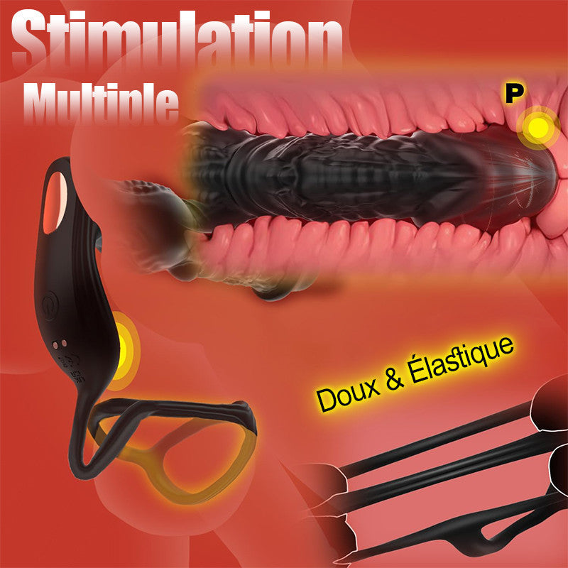 Masseur de prostate 6 en 1 à poussée rapide avec télécommande et application