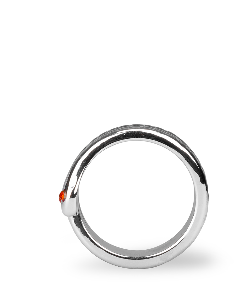 Anneau cockring en inox Medusa