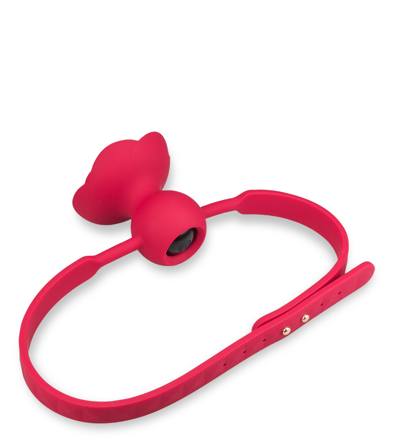 Bâillon avec gag-ball vibrante Rosie