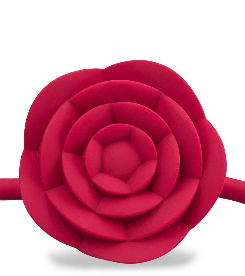 Bâillon avec gag-ball vibrante Rosie