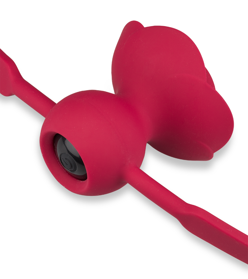 Bâillon avec gag-ball vibrante Rosie