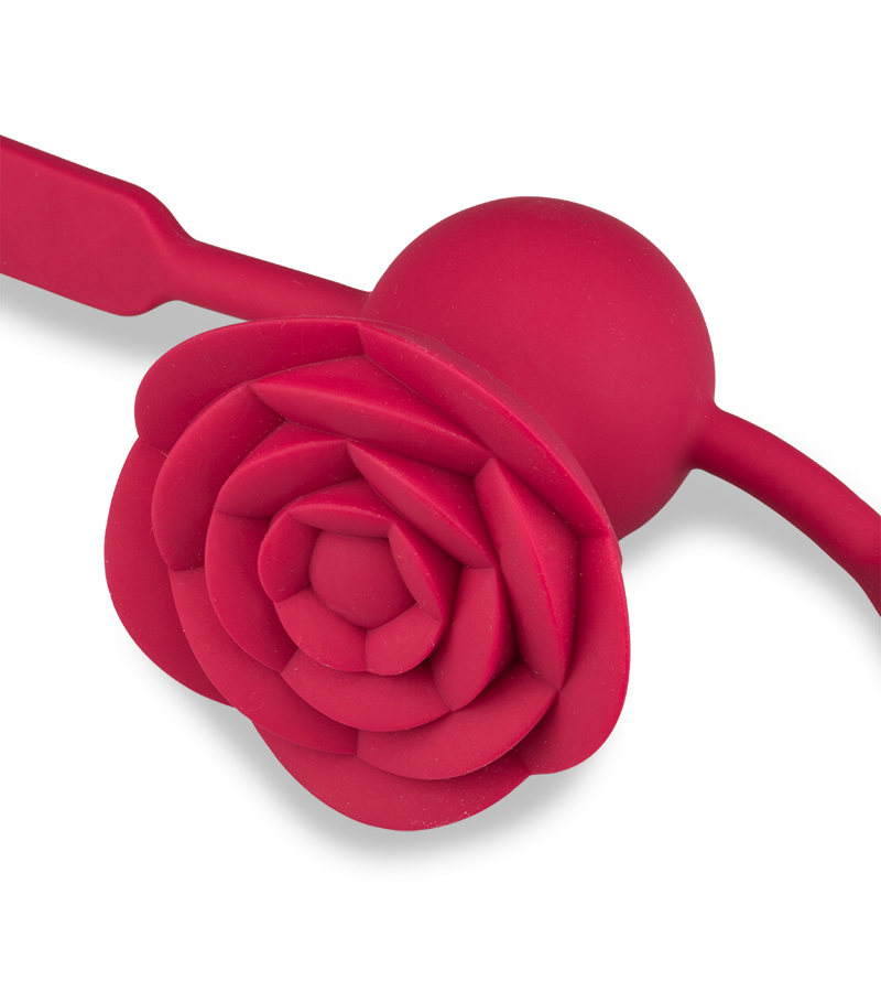 Bâillon avec gag-ball vibrante Rosie