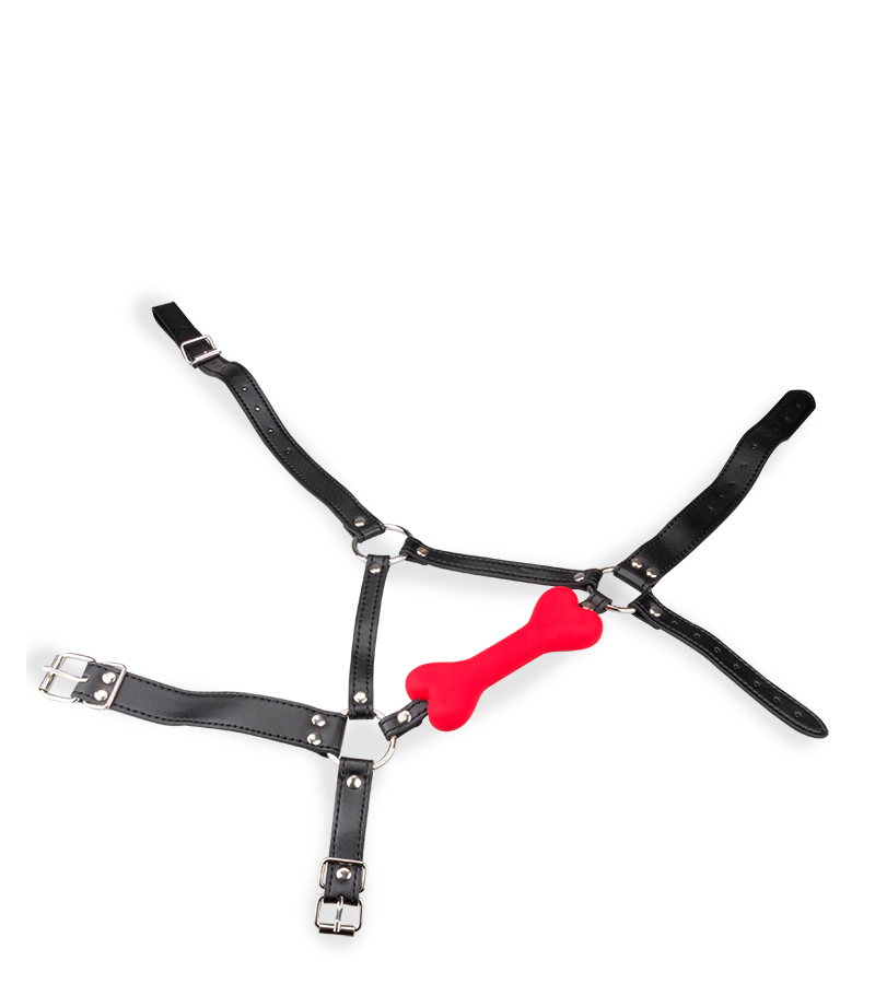 Bâillon harnais avec os en silicone 12,3cm Puppy Play