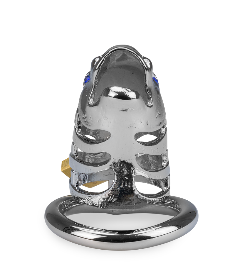 Cage à pénis astrologie chinoise Dragon