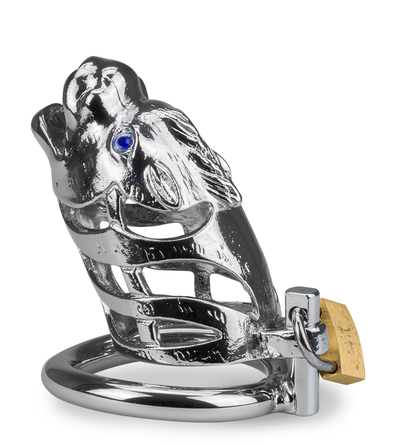 Cage à pénis astrologie chinoise Dragon