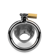 Charger l'image dans la galerie, Cage à pénis astrologie chinoise Dragon