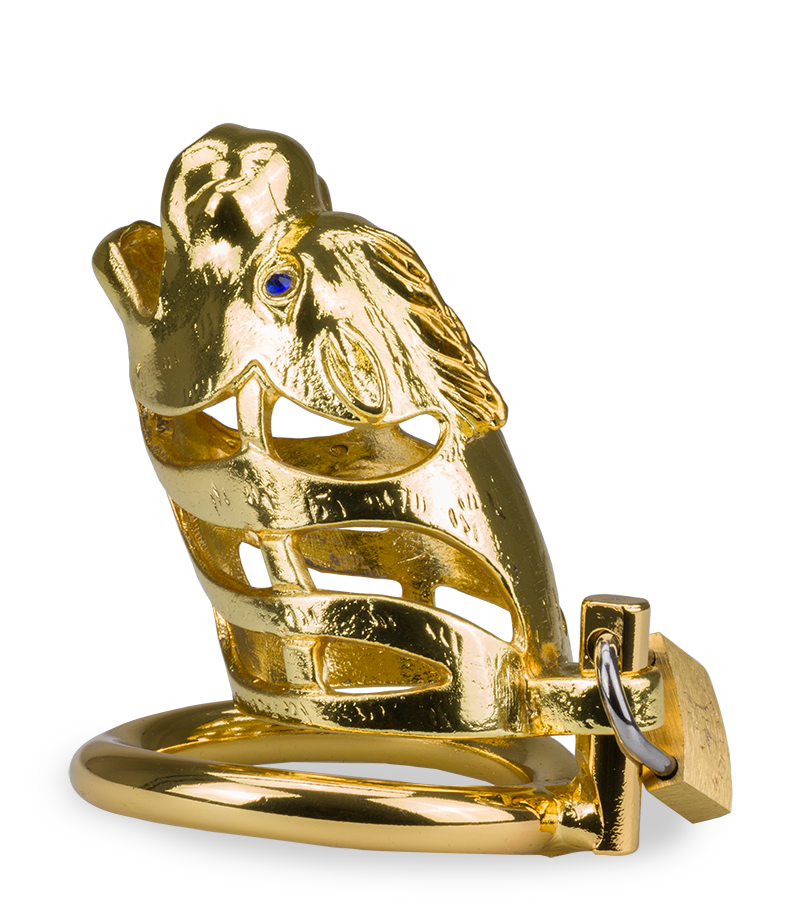 Cage à pénis astrologie chinoise Dragon Doré