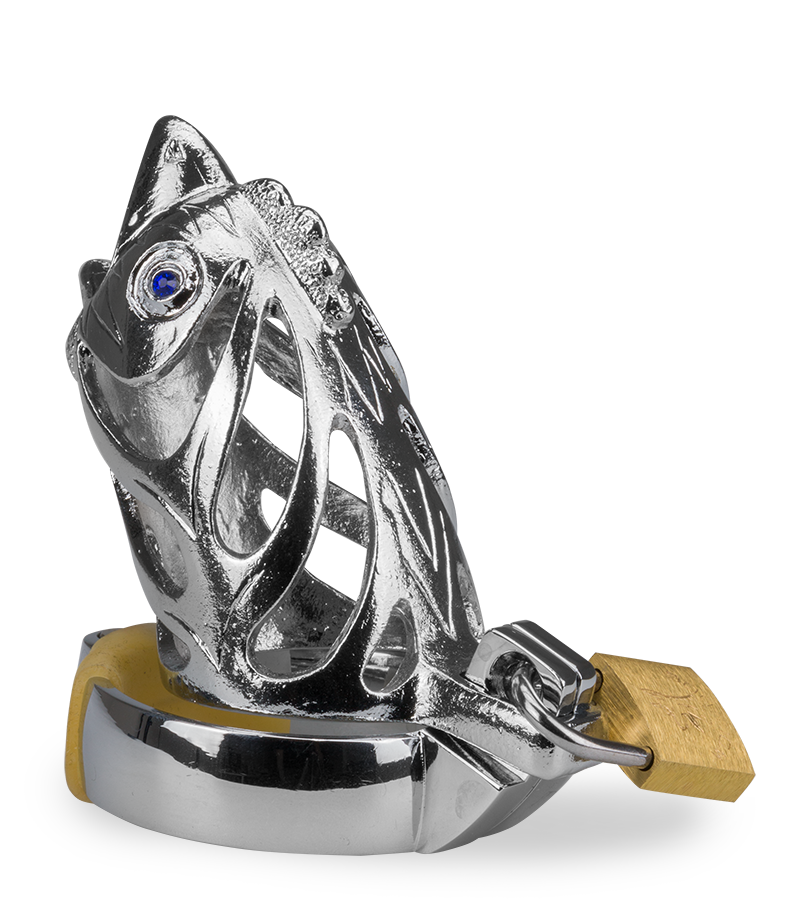 Cage de chasteté homme astrologie chinoise Coq