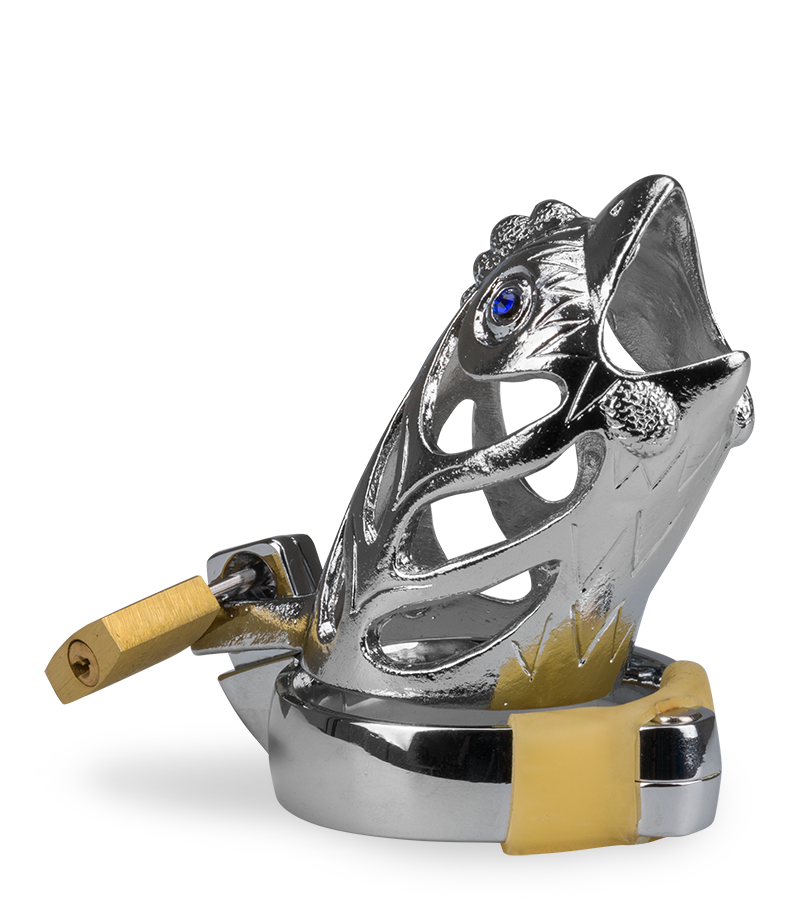 Cage de chasteté homme astrologie chinoise Coq