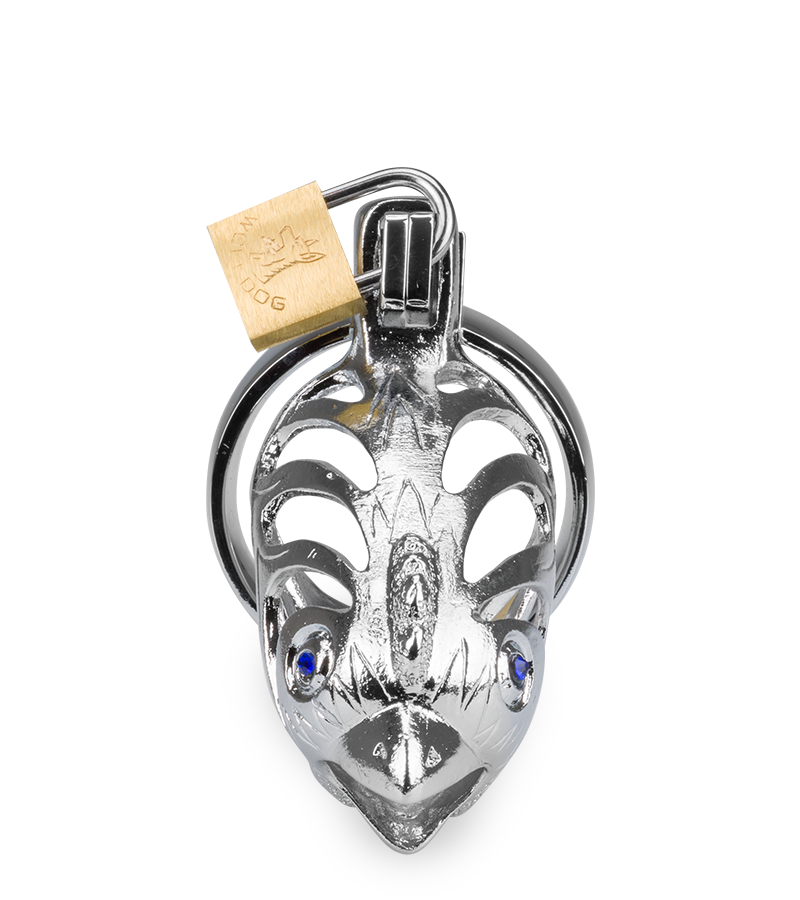 Cage de chasteté homme astrologie chinoise Coq