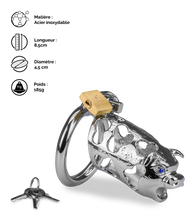Charger l'image dans la galerie, Cage de chasteté pénis astrologie chinoise Buffle