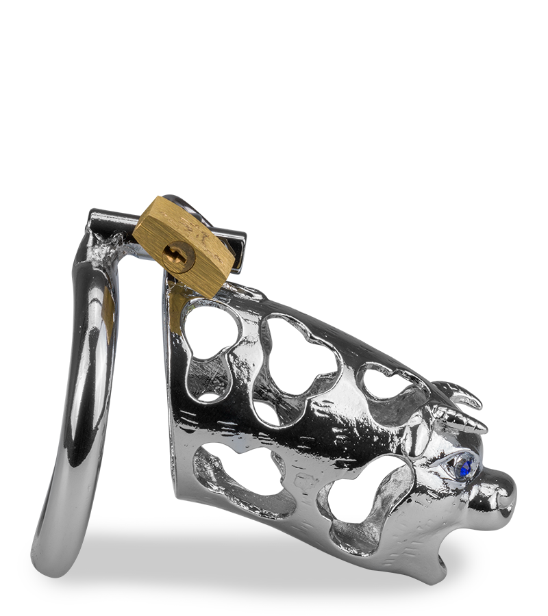 Cage de chasteté pénis astrologie chinoise Buffle