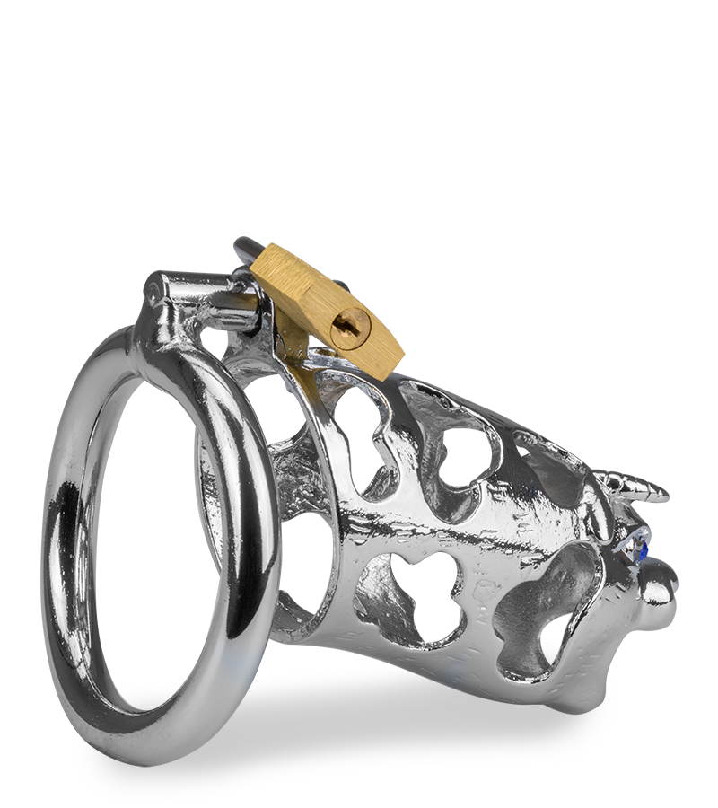 Cage de chasteté pénis astrologie chinoise Buffle