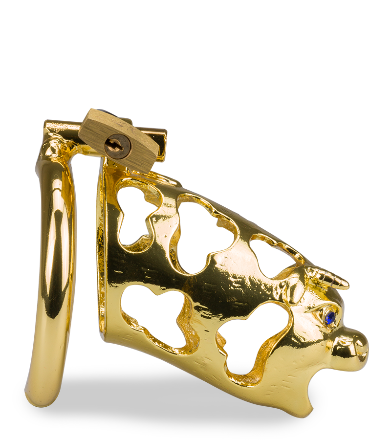 Cage de chasteté pénis astrologie chinoise Buffle Doré