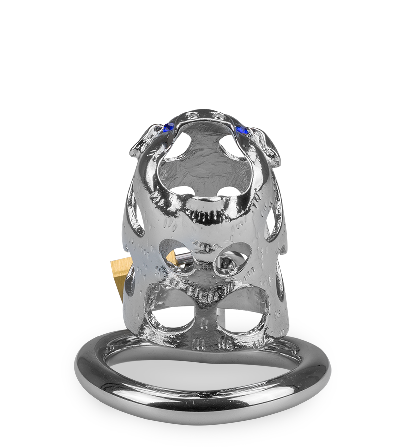 Cage de chasteté pénis astrologie chinoise Cochon