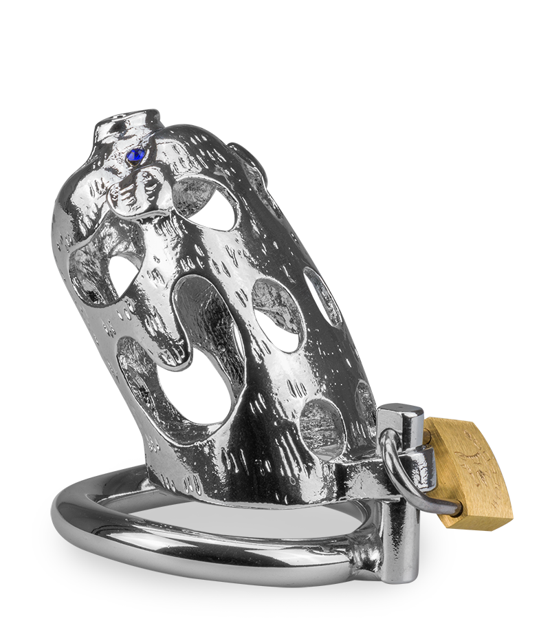 Cage de chasteté pénis astrologie chinoise Cochon