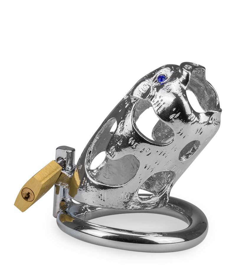 Cage de chasteté pénis astrologie chinoise Cochon