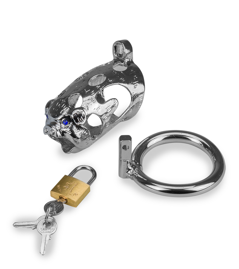 Cage de chasteté pénis astrologie chinoise Cochon