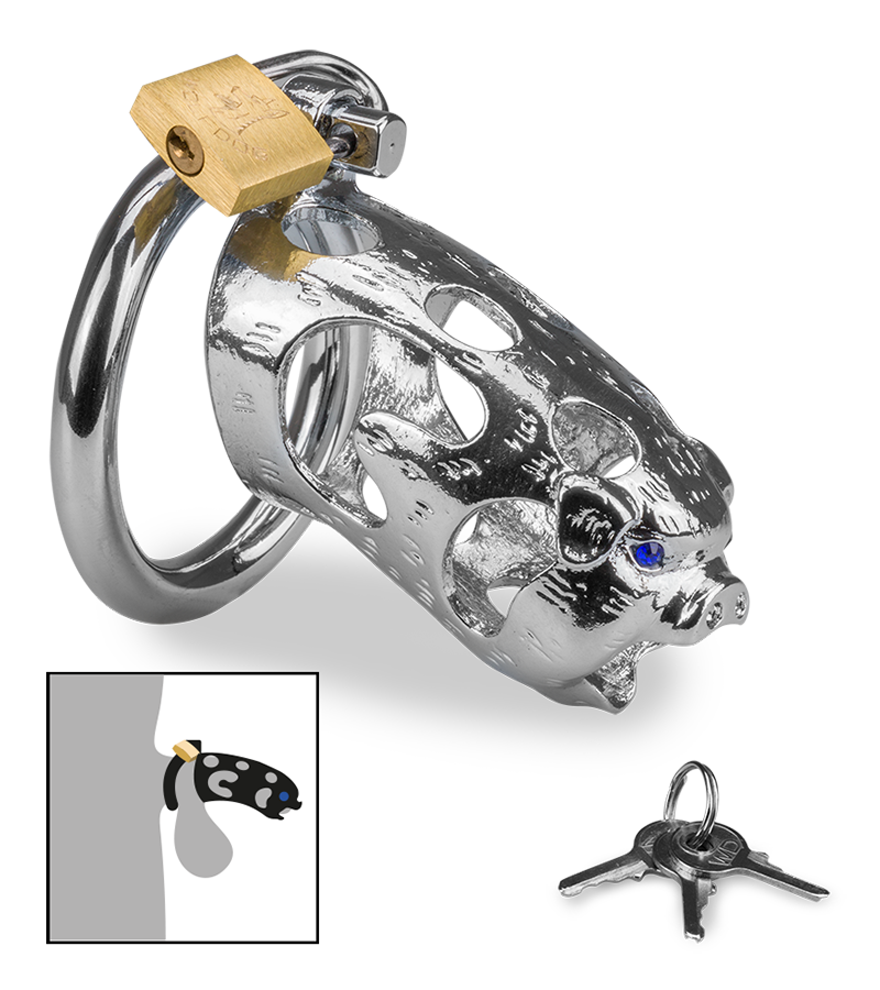 Cage de chasteté pénis astrologie chinoise Cochon