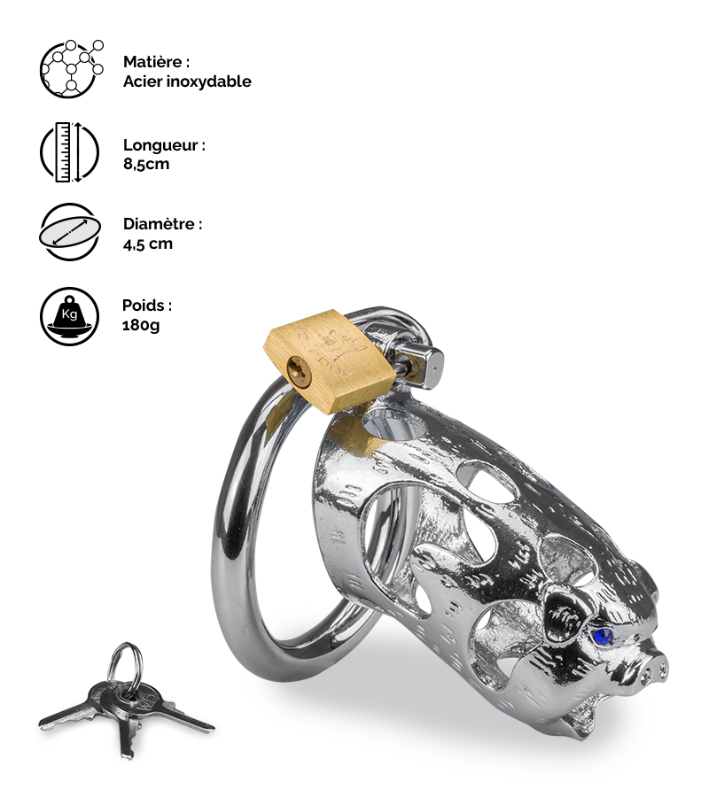 Cage de chasteté pénis astrologie chinoise Cochon