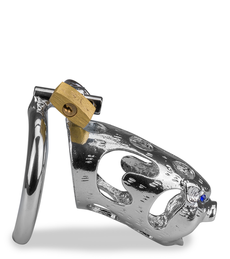 Cage de chasteté pénis astrologie chinoise Cochon