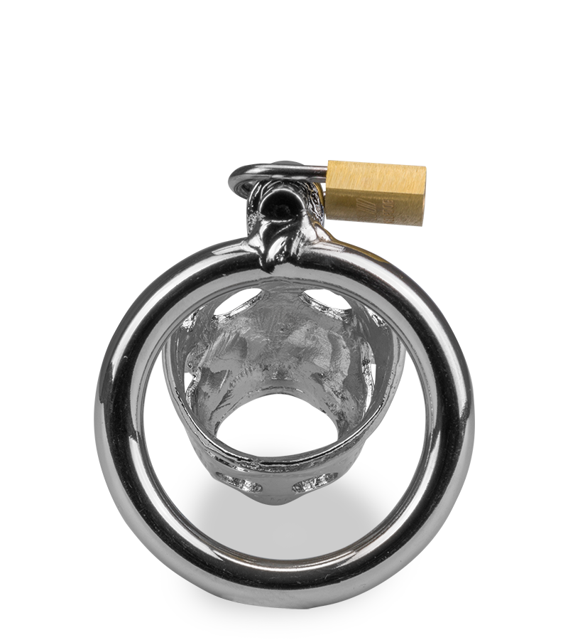 Cage de chasteté pénis astrologie chinoise Cochon