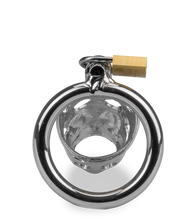 Charger l'image dans la galerie, Cage de chasteté pénis astrologie chinoise Cochon