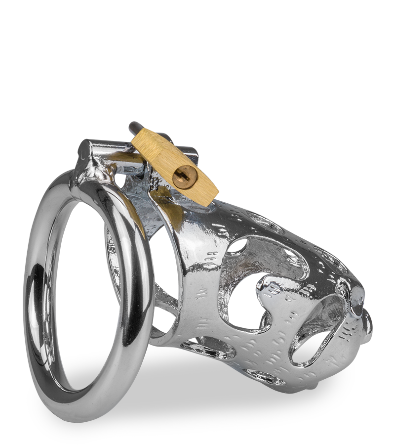 Cage de chasteté pénis astrologie chinoise Cochon