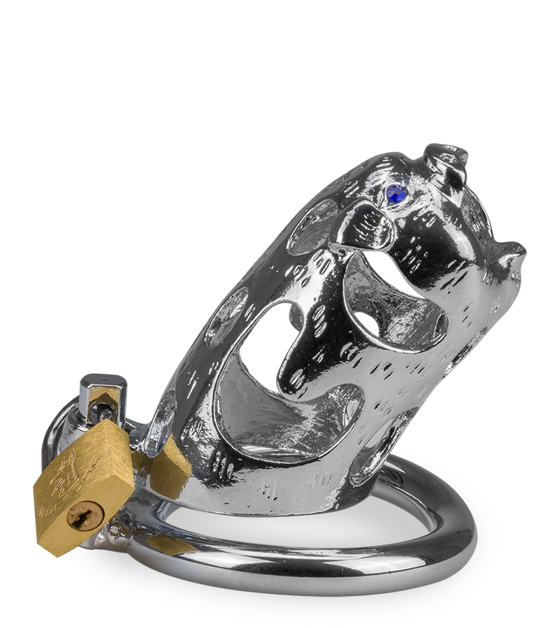 Cage de chasteté pénis astrologie chinoise Cochon