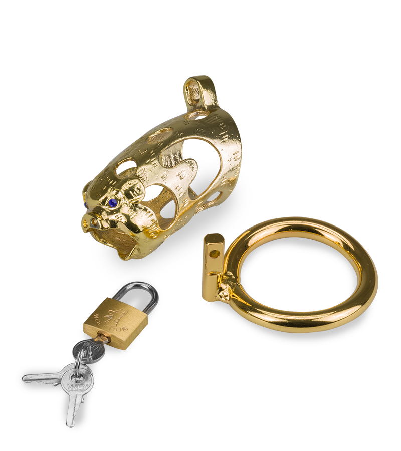 Cage de chasteté pénis astrologie chinoise Cochon Doré