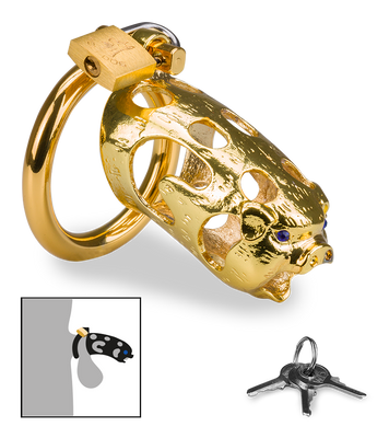 Cage de chasteté pénis astrologie chinoise Cochon Doré