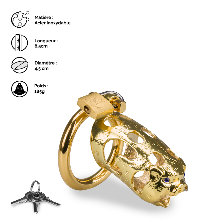 Cage de chasteté pénis astrologie chinoise Cochon Doré