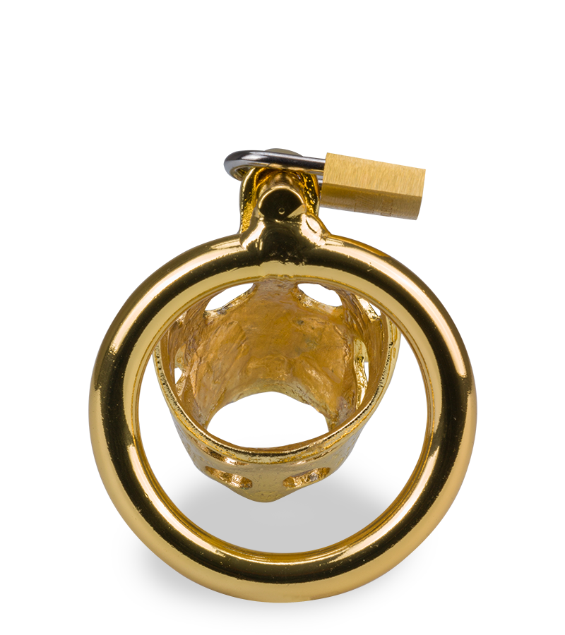 Cage de chasteté pénis astrologie chinoise Cochon Doré