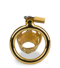 Charger l'image dans la galerie, Cage de chasteté pénis astrologie chinoise Cochon Doré
