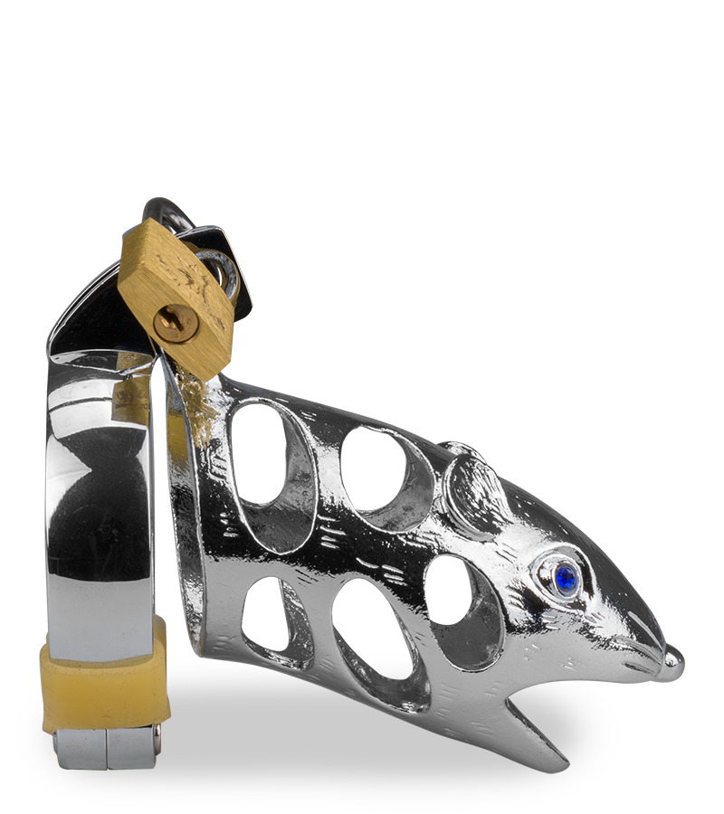 Cage de chasteté pénis astrologie chinoise Rat