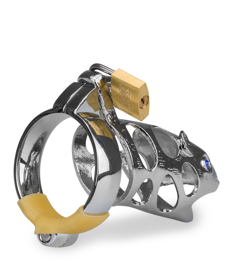 Cage de chasteté pénis astrologie chinoise Rat