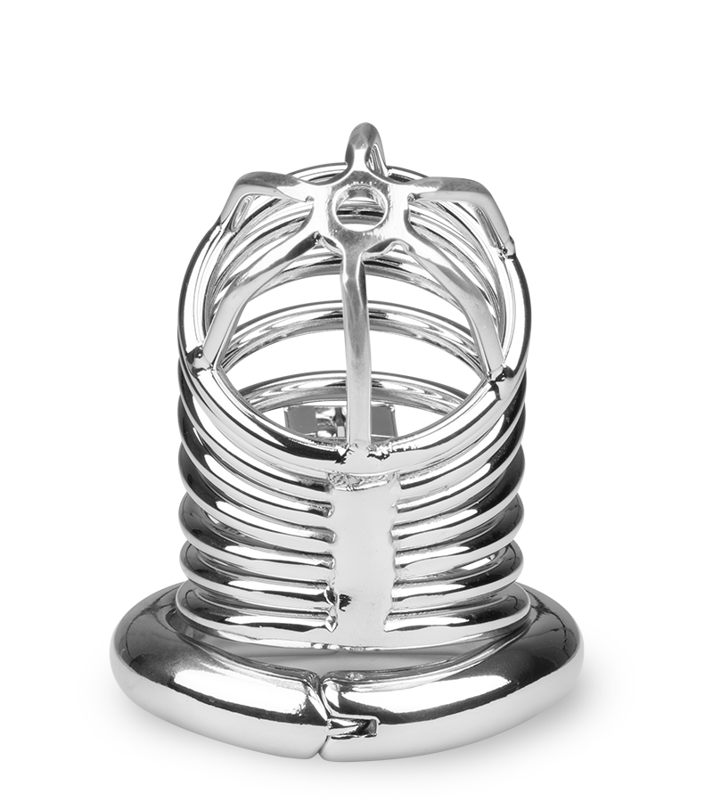 Cage de chasteté pénis Capture