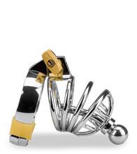 Charger l'image dans la galerie, Cage de chasteté pénis et plug d'urètre Alcatraz