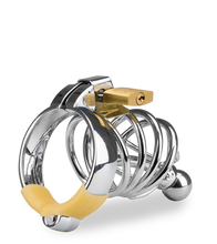 Charger l'image dans la galerie, Cage de chasteté pénis et plug d'urètre Alcatraz