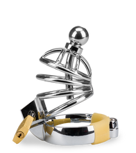 Charger l'image dans la galerie, Cage de chasteté pénis et plug d'urètre Alcatraz