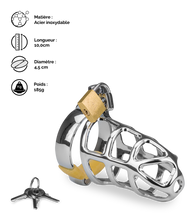 Charger l'image dans la galerie, Cage de chasteté pénis Grids
