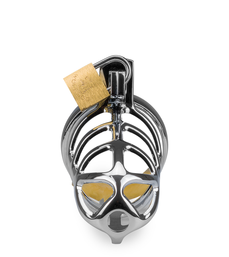 Cage de chasteté pénis Grids