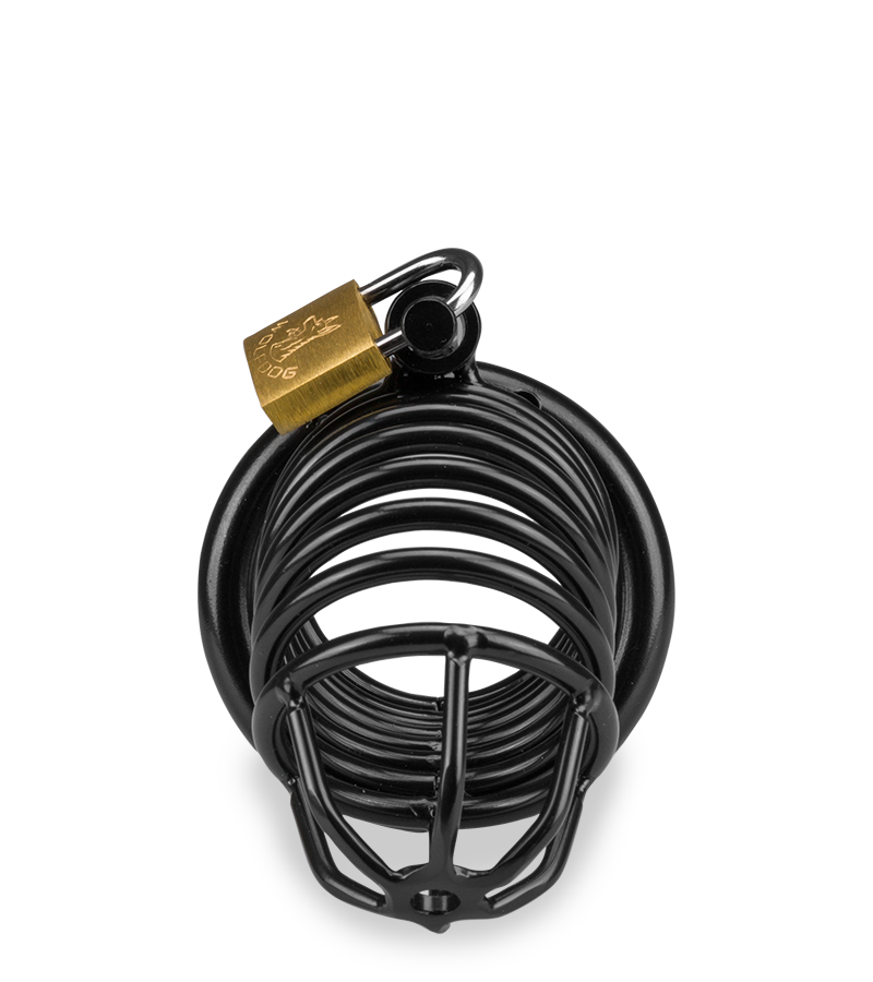 Cage de chasteté pénis Little Prisoner