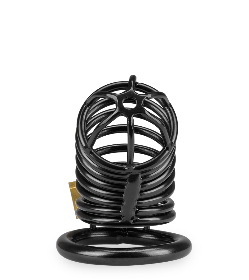 Cage de chasteté pénis Little Prisoner