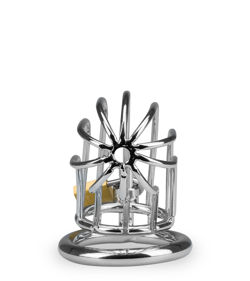 Cage de chasteté pénis Sentence