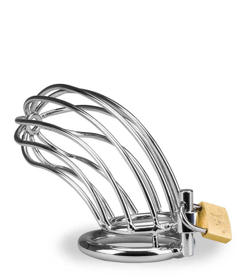 Cage de chasteté pénis Sentence