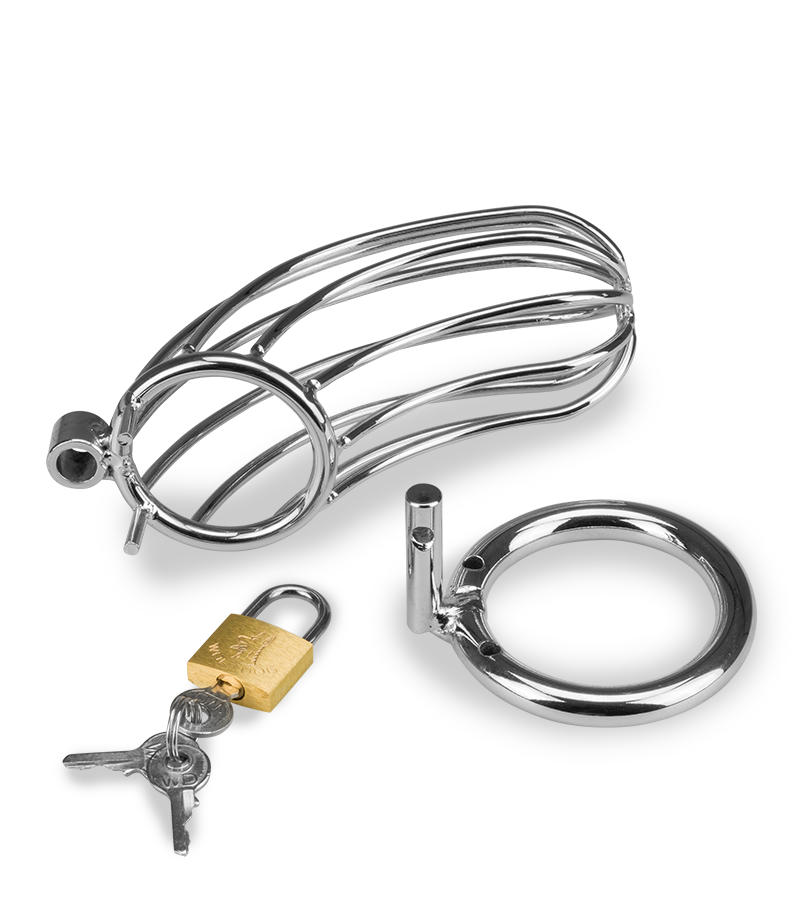 Cage de chasteté pénis Sentence