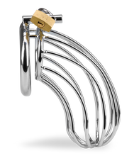 Charger l'image dans la galerie, Cage de chasteté pénis Sentence