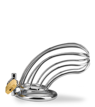 Charger l'image dans la galerie, Cage de chasteté pénis Sentence