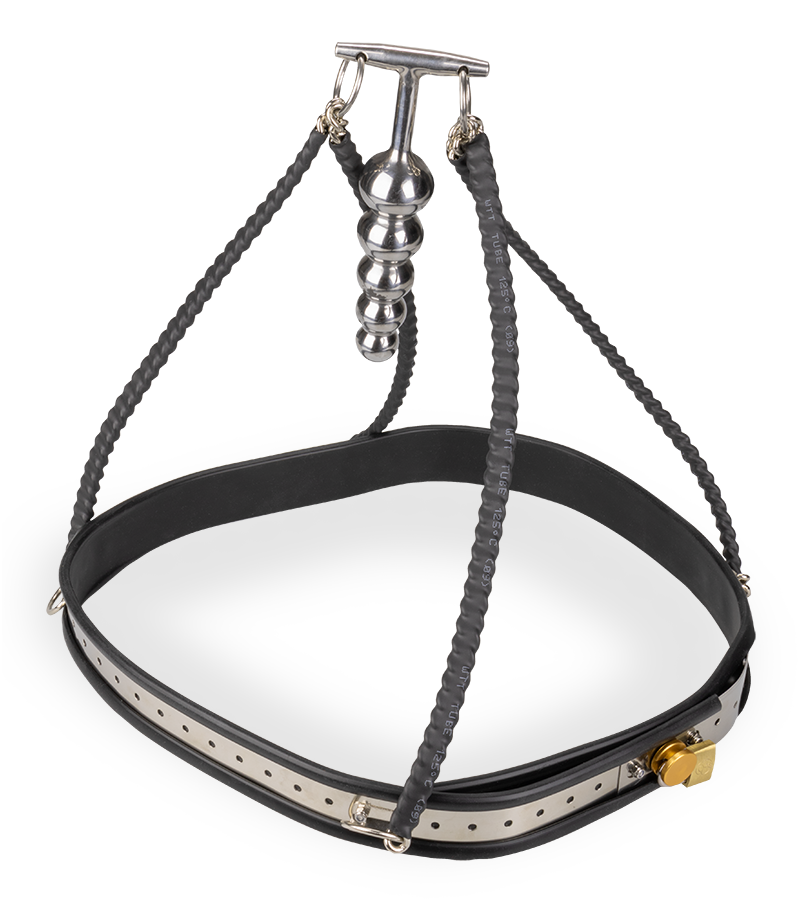 Ceinture de chasteté pour anus Taken